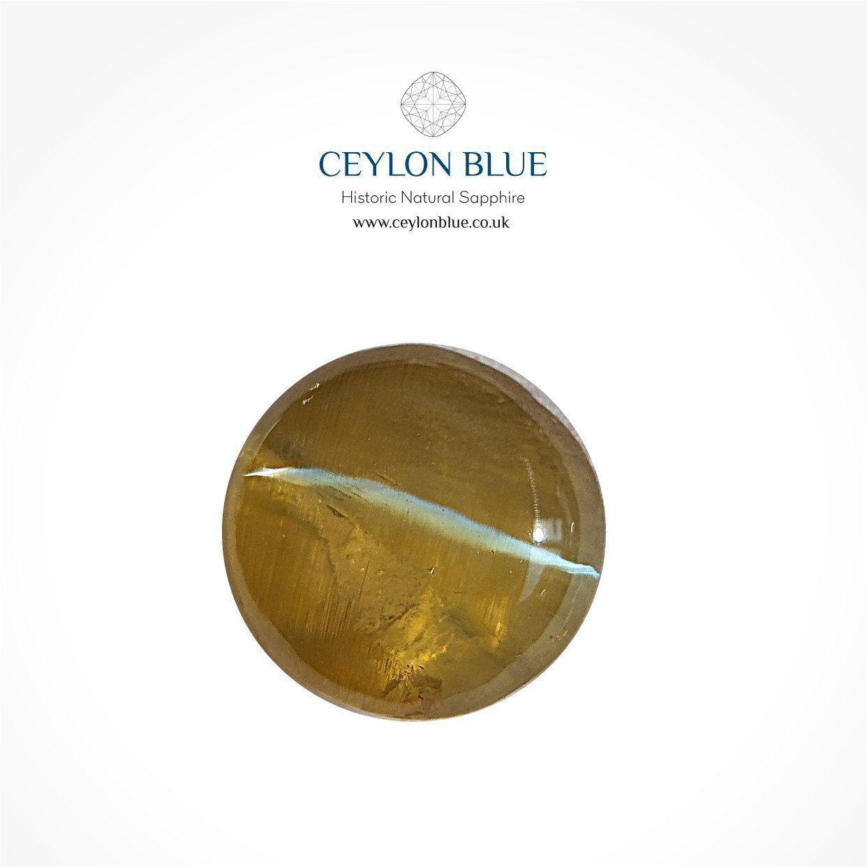 0052-Cats-Eye-Chrysoberyl-1p75ct-Cabochon-Shape_Blue-Sapphires-1-1-1-1-1-1-1-1-1-1-1-1-1-1-1-1-1-1-1-1-1-1-1-1-1-1-1-1-1-1-1-1-1-1-1-1 Cat's Eye Chrysoberyl 1.75ct Cabochon Shape - CB 0203 - Image 1