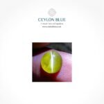 Cat's Eye Chrysoberyl 1.75ct Cabochon Shape - CB 0203 - Image 2