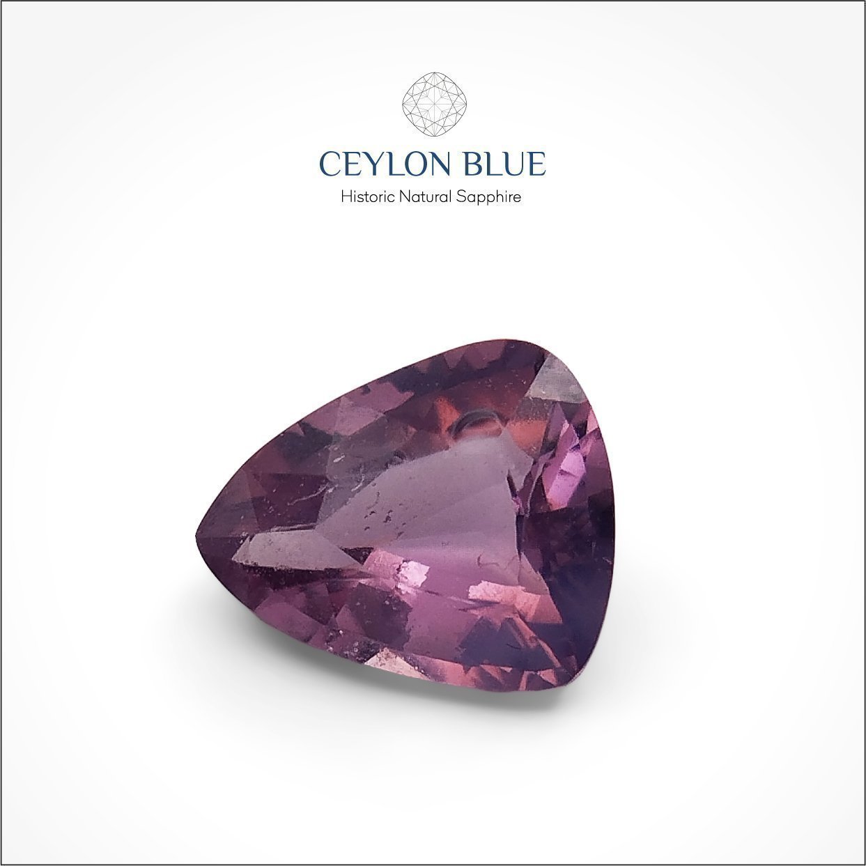 CB-0019-Spinel-Purple-Triangular-0p70-Ceylon-Blue_Artboard-1-1-1-1-1-1-1-1-1-1-1-1-1-1-1-1-1-1-1-1-1-1-1-1-1-1-1-1-1-1-1-1-1 Purple Spinel 0.70ct Triangular Shape - CB 0019 - Image 1