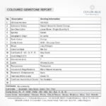 Hessonite Garnet 1.10ct Long Octagon - CB 0020 - Image 3