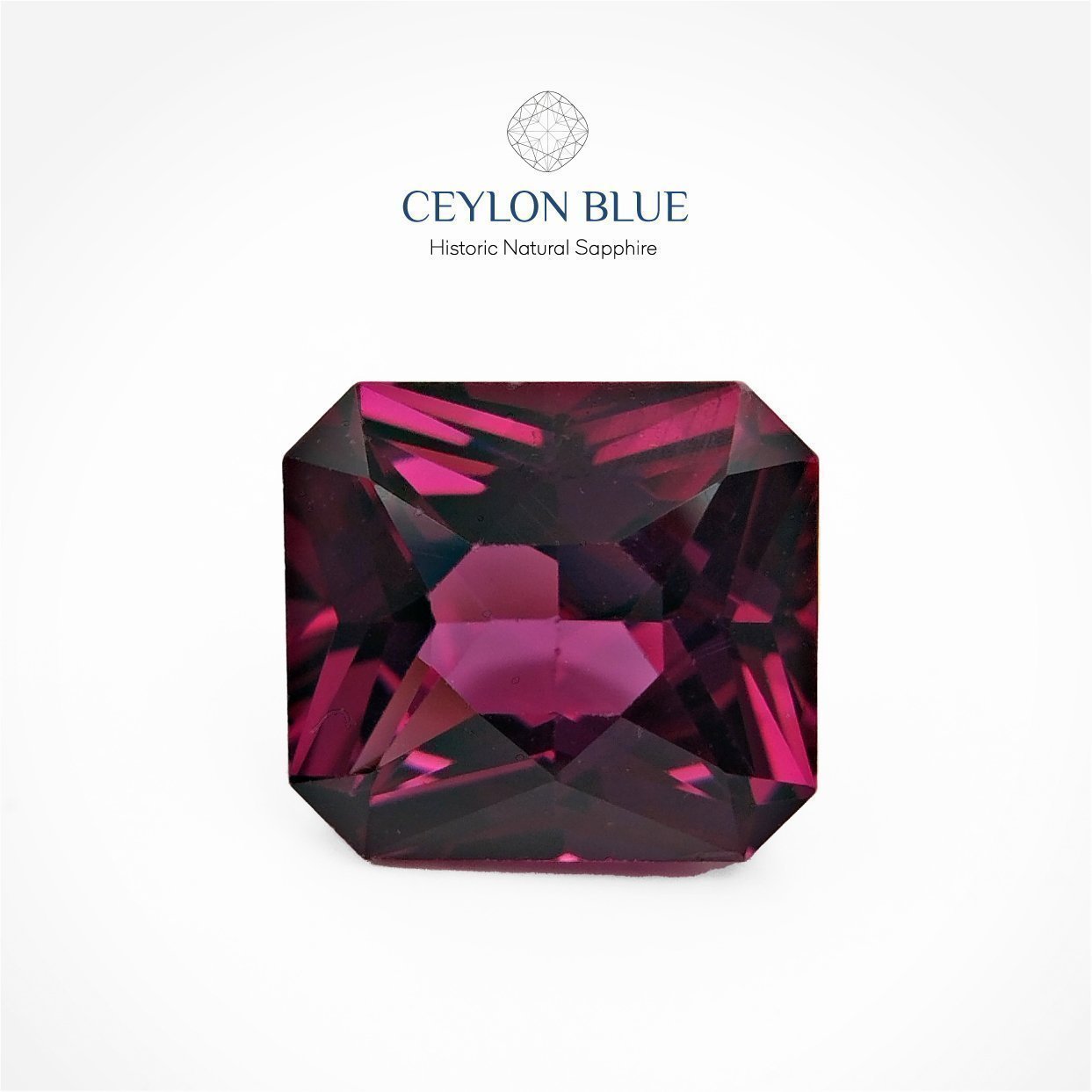 CB-0048-Garnet-Octagon-Royal-Purple-Garnet-3p00_Artboard-1-1-1-1-1-1-1-1-1-1-1-1-1-1-1-1-1-1-1-1-1-1-1-1-1-1-1-1-1-1-1-1-1-1-1-1-1 Royal Purple Garnet 3.00ct Oval Shape - CB 0048 - Image 1