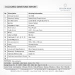 Royal Purple Garnet 3.00ct Oval Shape - CB 0048 - Image 4