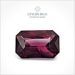 Royal Purple Garnet 2.50ct Long Octagon - CB 0049