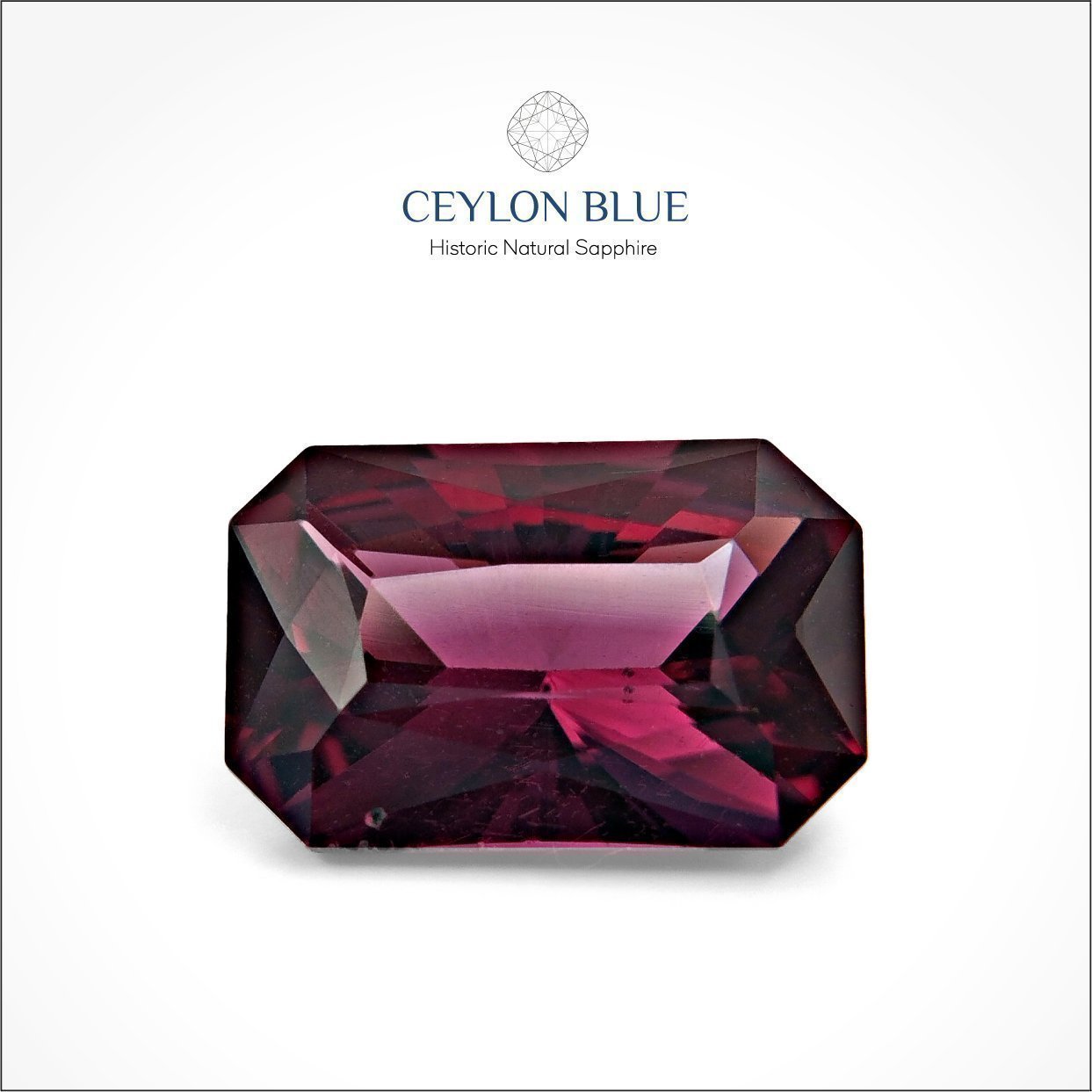 CB-0049-Garnet-Long-Octagon-Royal-Purple-Garnet-2p50-Ceylon-Blue-1-1-1-1-1-1-1-1-1-1-1-1-1-1-1-1-1-1-1-1-1-1-1-1-1-1-1-1-1-1-1-1-1-1-1-1-1 Royal Purple Garnet 2.50ct Long Octagon - CB 0049 - Image 1