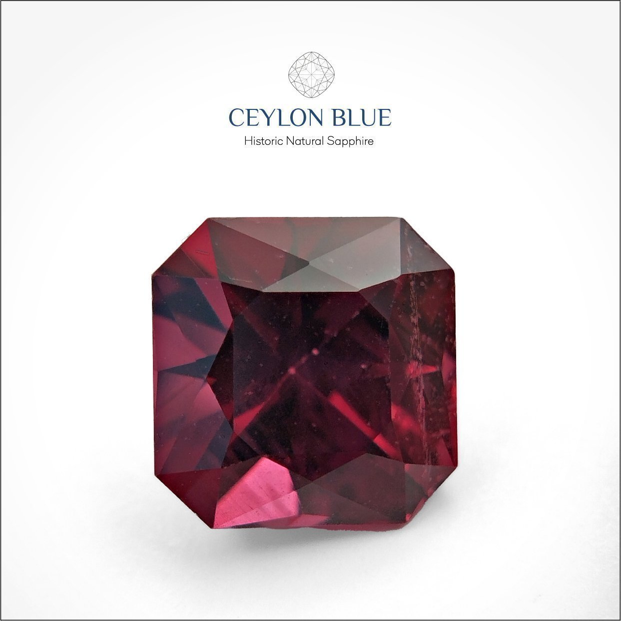 CB-0050-Garnet-Octagon-Royal-Purple-Garnet-2p05_Artboard-1-1-1-1-1-1-1-1-1-1-1-1-1-1-1-1-1-1-1-1-1-1-1-1-1-1-1-1-1-1-1-1-1-1-1-1-1 Royal Purple Garnet 2.05ct Octagon Shape - CB 0050 - Image 1