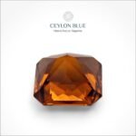 Orange Hessonite Garnet 2.80ct Octagon Shape - CB 0052 - Image 2