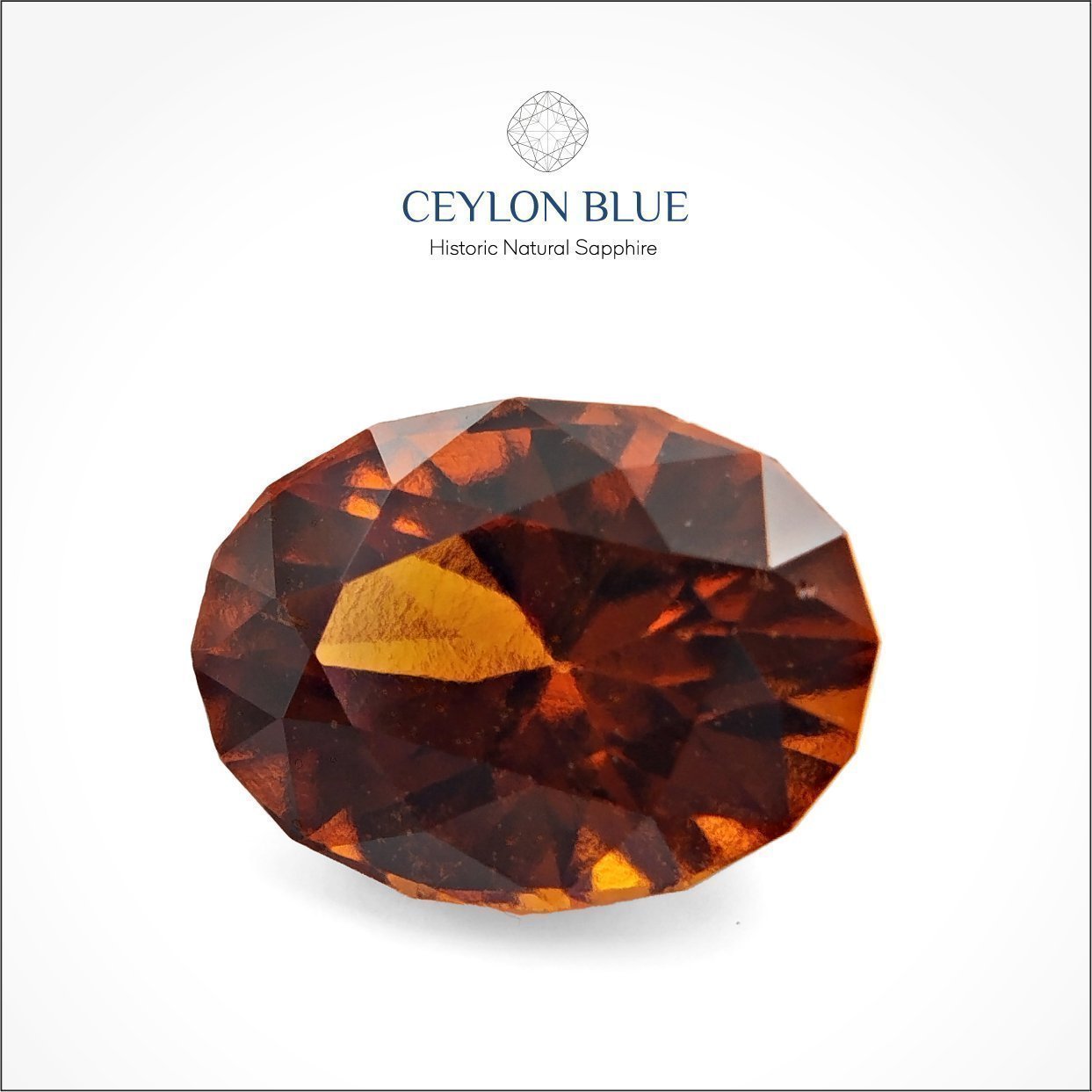 CB-0053-Hessonite-Garnet-Orange-Oval-2p50-Ceylon-Blue-1-1-1-1-1-1-1-1-1-1-1-1-1-1-1-1-1-1-1-1-1-1-1-1-1-1-1-1-1-1-1-1-1-1-1-1-1 Orange Hessonite Garnet 2.50ct Oval Shape - CB 0053 - Image 1
