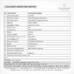 Red Almandine Garnet 2.40ct Cushion Shape - CB 0082 - Image 3