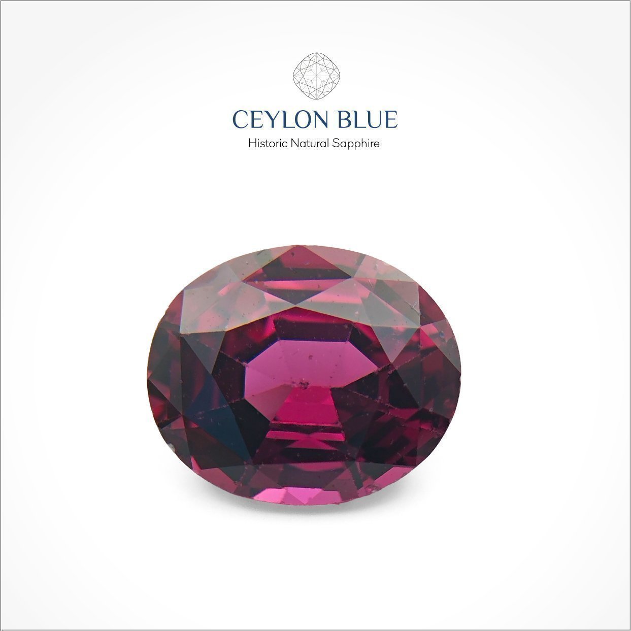 CB-0084-Rhodolite-Garnet-Oval-Pinkish-Red-Garnet-4p25_Ceylon-Blue-Sapphires-1-1-1-1-1-1-1-1-1-1-1-1-1-1-1-1-1-1-1-1-1-1-1-1-1-1-1-1-1-1-1-1-1-1-1-1 Rhodolite Garnet 4.25ct Oval Shape- CB 0084 - Image 1