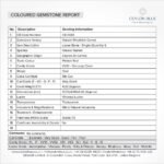 Rhodolite Garnet 4.25ct Oval Shape- CB 0084 - Image 3