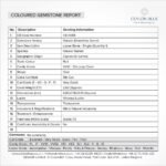 Red Almandine Garnet 2.60ct Oval Shape - CB 0088 - Image 3