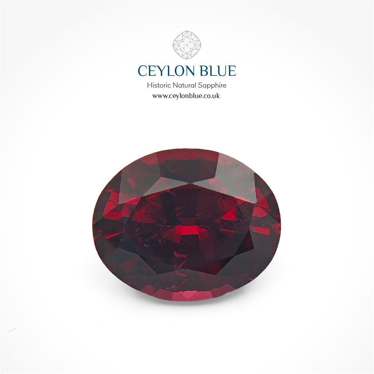 CB-0091-Almandine-Garnet-Oval-Red-Garnet-2p20-Ceylon-Blue-Sapphires-1-1-1-1-1-1-1-1-1-1-1-1-1-1-1-1-1-1-1-1-1-1-1-1-1-1-1-1-1-1-1-1-1-1-1-1 Red Almandine Garnet 2.20ct Oval Shape - CB 0091 - Image 1