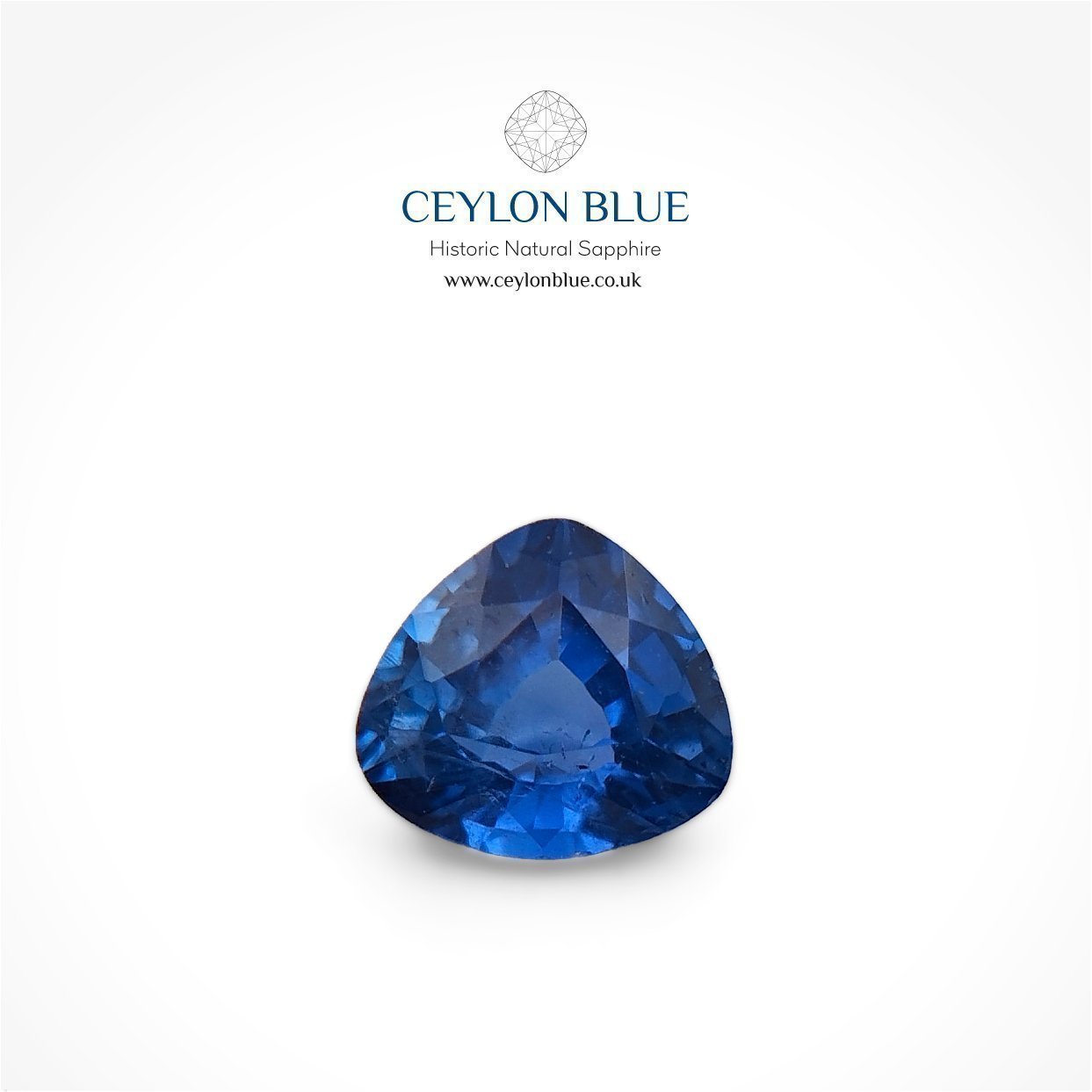 CB-0105-Cornflower-Blue-Sapphire-Trillion-0p60-Ceylon-Blue-Sapphires-1-1-1-1-1-1-1-1-1-1-1-1-1-1-1-1-1-1-1-1-1-1-1-1-1-1-1-1-1-1-1-1-1-1-1-1 Cornflower Blue Sapphire 0.60ct Trillion - CB 0105 - Image 1