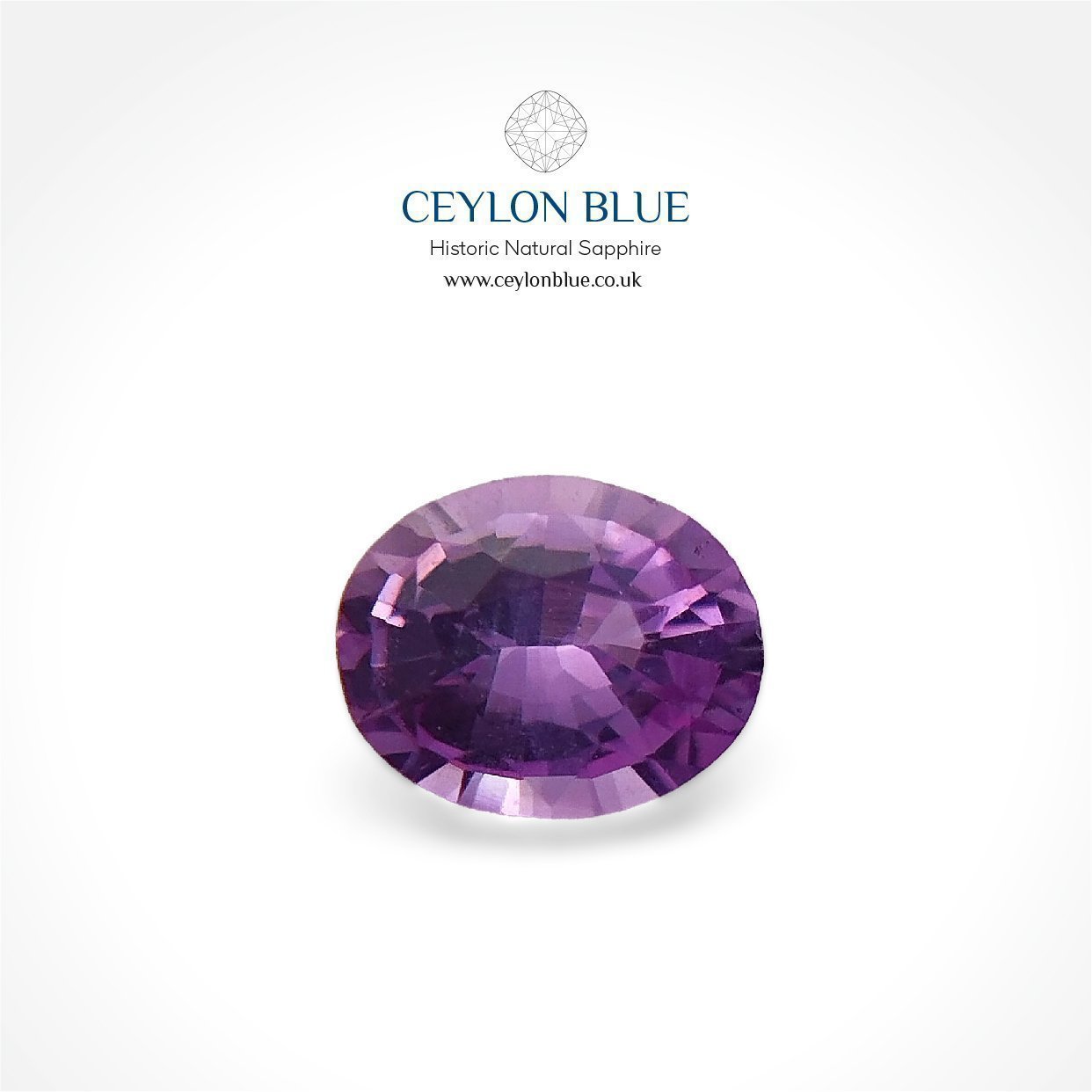 CB-0133-Purple-Sapphire-Oval-0p35_Ceylon-Blue-Sapphires-1-1-1-1-1-1-1-1-1-1-1-1-1-1-1-1-1-1-1-1-1-1-1-1-1-1-1-1-1-1-1-1-1-1-1-1 Purple Sapphire 0.35ct Oval - CB 0133 - Image 1