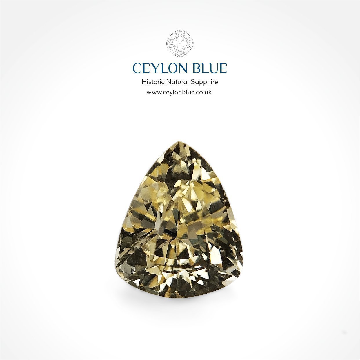 CB-0135-Yelllow-Sapphire-Trillion-Oval-0p80-Ceylon-Blue-Sapphires-1-1-1-1-1-1-1-1-1-1-1-1-1-1-1-1-1-1-1-1-1-1-1-1-1-1-1-1-1-1-1-1-1-1-1-1 Light Yellow Sapphire 0.80ct Trillion - CB 0135 - Image 1