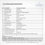 Henectus tincidunt - Image 3