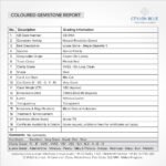 Ornare auctor - Image 3