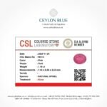 Pink Spinel 1.16ct Oval Shape - CB 0156 - Image 3