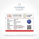 Royal Blue Sapphire 1.33ct Round Shape - CB 0170 - Image 3