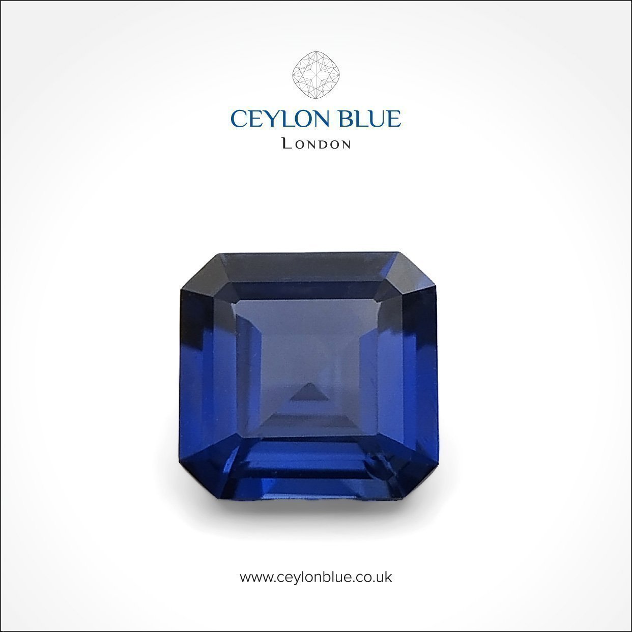 Ceylon-Blue-Sapphire-Royal-Blue-Octagon-Unheated-0p60-Ceylon-Blue-01-1-1-1-1-1-1-1-1-1-1-1-1-1-1-1-1-1-1-1-1-1-1-1-1-1-1-1-1-1-1-1-1-1-1-1-1-1-1-1-1-1-1-1-1-1-1-1-1-1-1-1-1-1-1-1-1-1-1-1-1-1-1 Ceylon Blue Sapphire - Royal Blue 0.60ct Octagon Shape - CB 0001 - Image 1