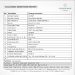 Ceylon Blue Sapphire - Royal Blue 0.60ct Octagon Shape - CB 0001 - Image 5