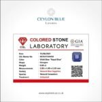 Ceylon Blue Sapphire - Royal Blue 0.60ct Octagon Shape - CB 0001 - Image 4