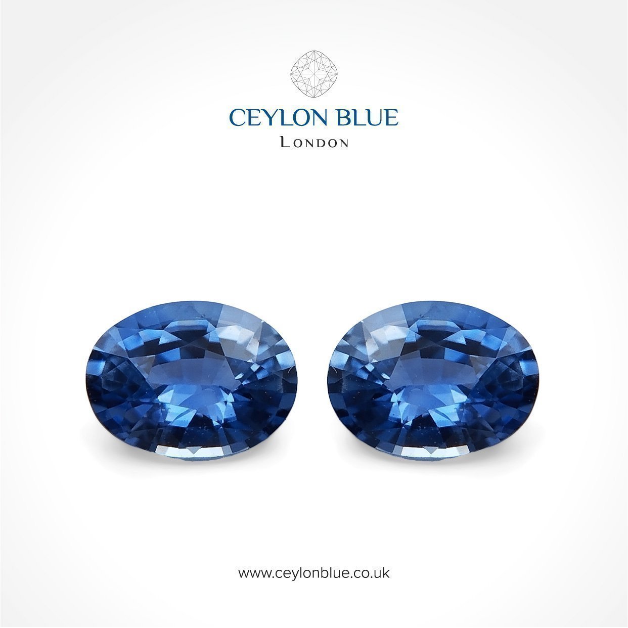Cornflower-Blue-Sapphire-Oval-Pair-0p47_Ceylon-Blue-01-1-1-1-1-1-1-1-1-1-1-1-1-1-1-1-1-1-1-1-1-1-1-1-1-1-1-1-1-1-1-1-1-1-1-1-1-1-1-1-1-1-1-1-1-1-1-1-1-1-1-1-1-1-1-1-1-1-1-1-1-1-1-1-1-1-1-1-1-1 Cornflower Blue Sapphire 0.47ct Oval Shape – CB 0004-C1 - Image 1