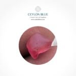 Padparadscha Sapphires Unheated Rough Gemstone 1.55ct Unheated - CB 0260