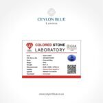 Various Ring Design 1 - CBJ 0002 - Image 2